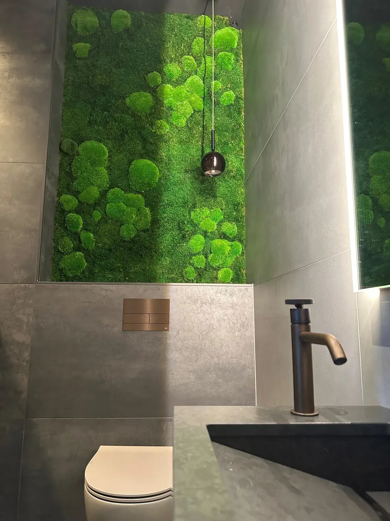 Kugelmoos-Wand hinter dem WC im Bad