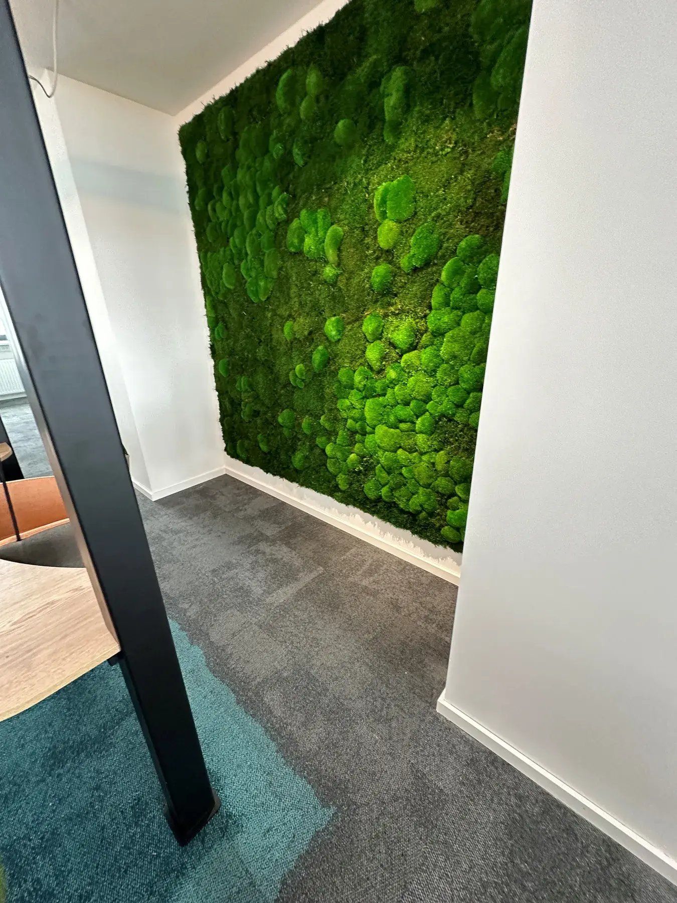 Mooswand aus Kugelmoos im Meetingraum