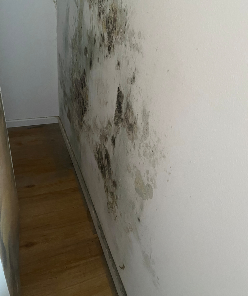 Schwarzer Schimmel an einer Außenwand hinter einem Schrank