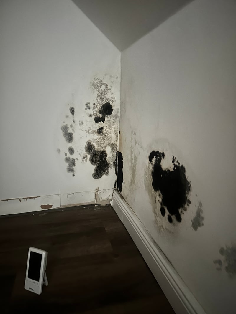 Feuchtemessung an einer Außenwandecke mit Schimmel