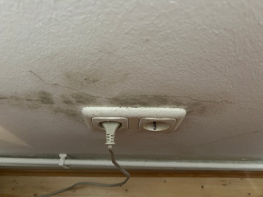 Schimmel um eine Steckdose an der Außenwand hinter einem Schrank in Hamburg