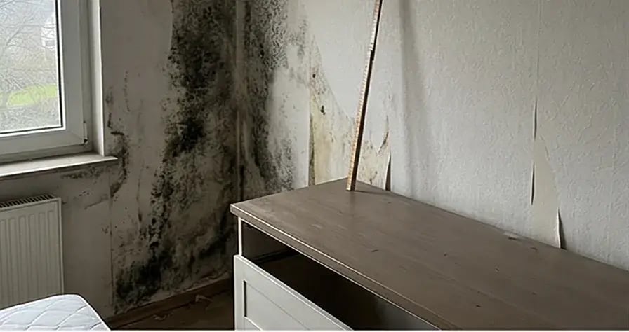 Schimmelbefall Schlafzimmer ecke