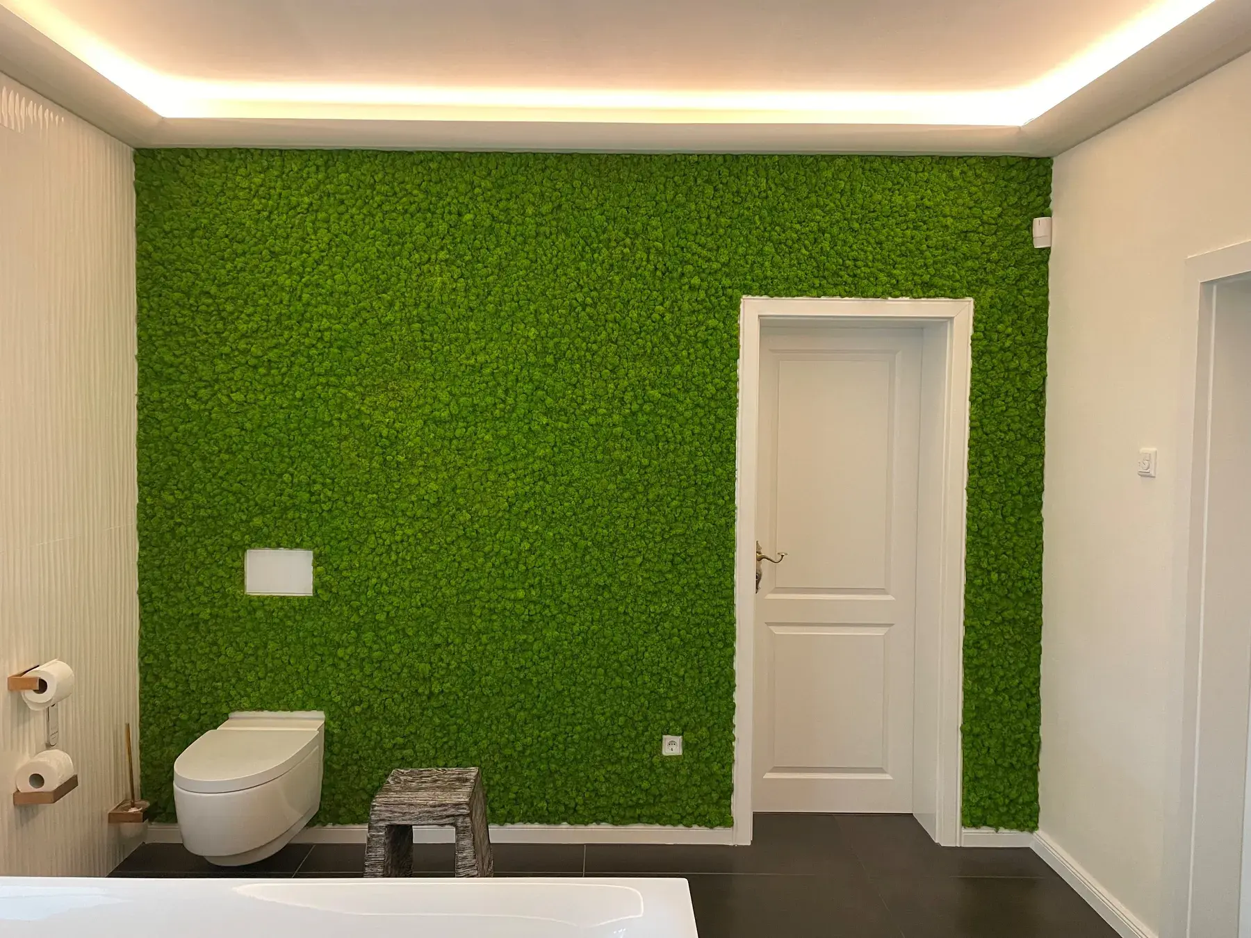 Ganze Wand aus Islandmoos im Gäste-WC – K&S Farbkonzepte